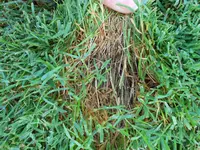 DSCN0277.webp