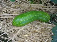 2013-07-17 09.22.32.webp