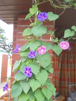 DSCN2283.webp