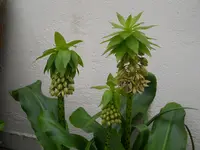DSCN2284.webp