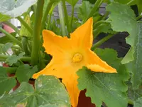DSCN2289.webp