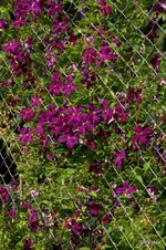 IMG_3913.webp