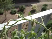 2013-07-17 10.48.06.webp