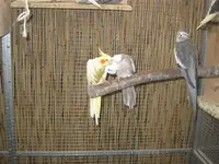 Bild (8).webp