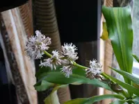 Bild (11).webp