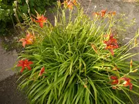 Bild (21).webp
