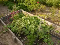Bild (29).webp