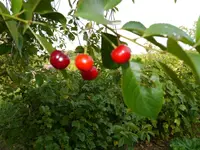 Bild (34).webp