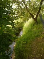 Bild (37).webp