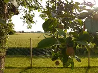 Bild (40).webp