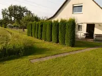 Bild (44).webp