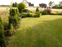 Bild (46).webp