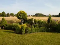 Bild (47).webp
