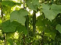 Bild (24).webp