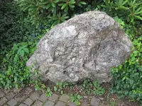 042.webp