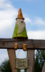 IMG_7773.webp