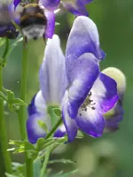 015.webp