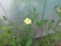 17.webp