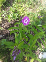 28.webp