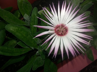 29.webp