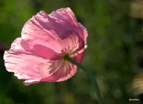 IMG_3920-002.webp