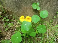 CIMG8016.webp