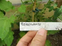 CIMG8042.webp