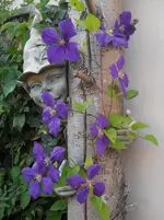 DSCN2293.webp