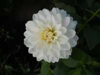 DSCN2298.webp