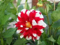 DSCN2299.webp
