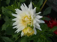 DSCN2300.webp