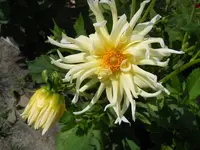 DSCN2304.webp
