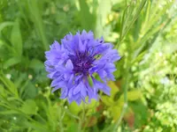 DSCN2315.webp