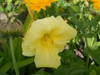 DSCN2318.webp