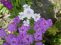 DSCN2319.webp