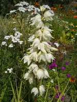 DSCN2322.webp