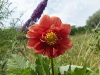 CIMG8014.webp