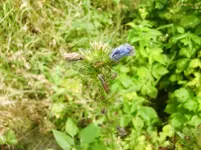 CIMG8009.webp