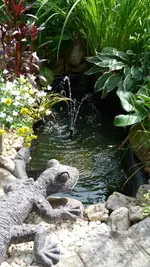 t22.webp