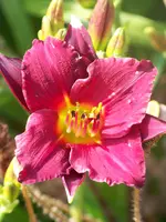 024.webp