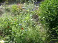 001.webp