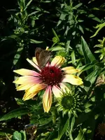 P1100208.webp