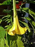 P1100201.webp