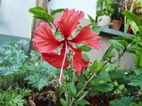 CIMG8060.webp