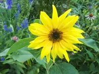 CIMG8072.webp