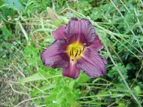 CIMG8093.webp