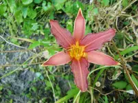 CIMG8095.webp