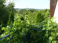 P1070017.webp