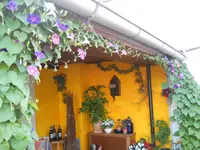 DSCN2329.webp