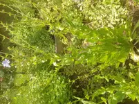 20130704_123855.webp